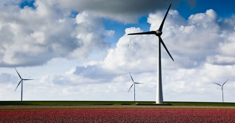 Wind turbines in a field against a background of a cloudy sky