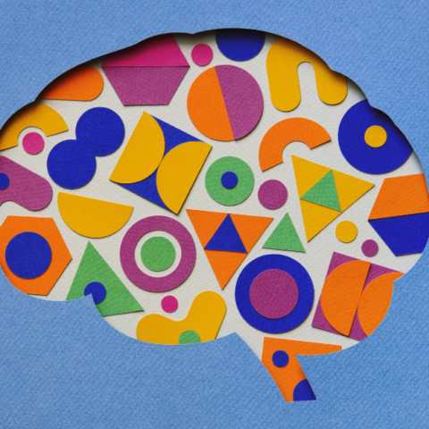 Outline of the human brain with colorful paper chips inside