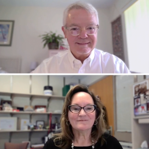 Two speakers on screen during a virtual panel